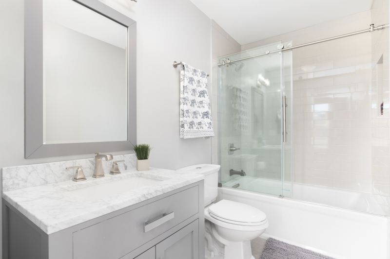 Tub Conversion Service